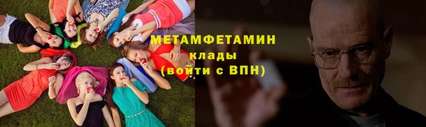 прущие грибы Пересвет
