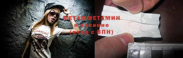прущие грибы Пересвет