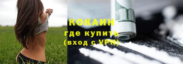 прущие грибы Пересвет