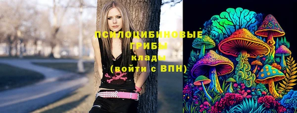 СК Пестово