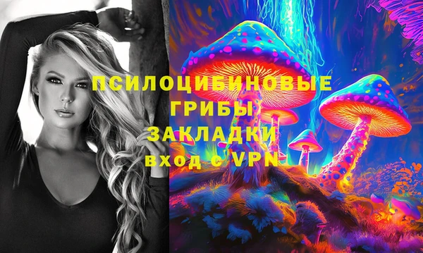прущие грибы Пересвет