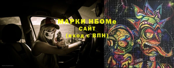 прущие грибы Пересвет