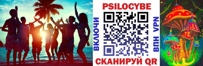 darknet наркотические препараты  продажа наркотиков  Сердобск  Псилоцибиновые грибы MAGIC MUSHROOMS 